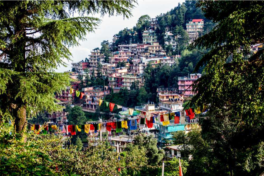 McLeodganj Tourism (2024) - India > Top Things To Do in McLeod Ganj