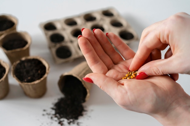 Top view soil for plants