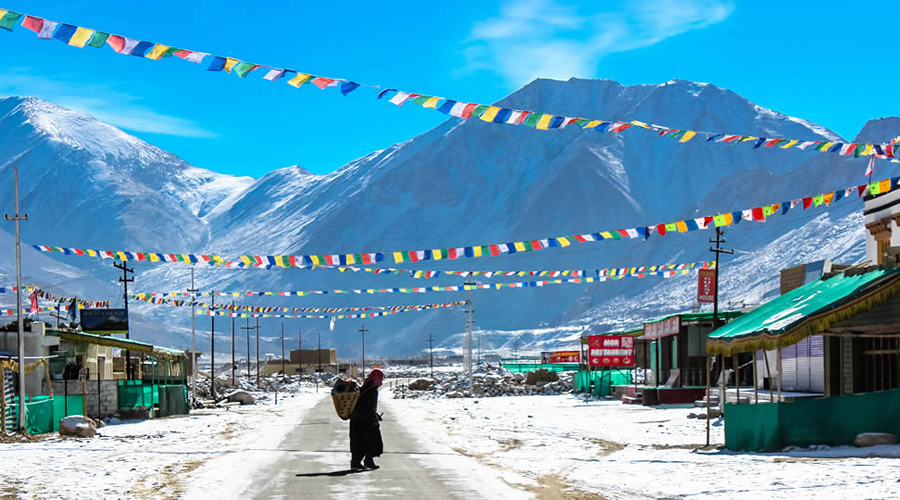 Experience the Magic of Winter in Ladakh | Lchang Nang Resort