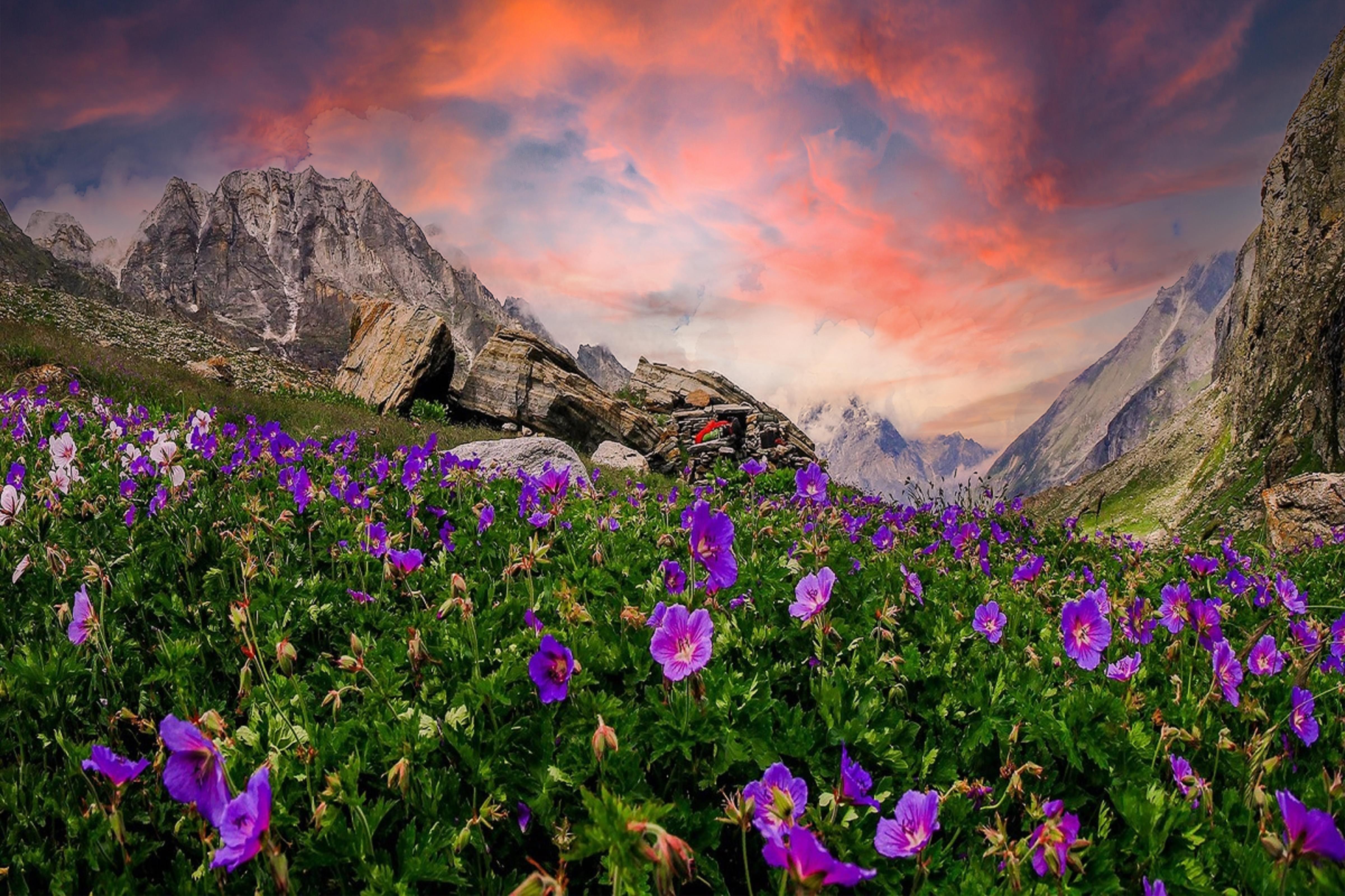 Valley of Flowers Trek with Hemkund Sahib 2025 | Flat 23% Off