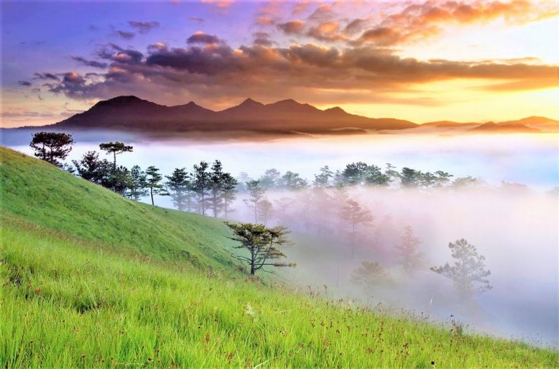 Lang Biang Mountain In Dalat: Best Guide In 2025 | Vietnamtour.in