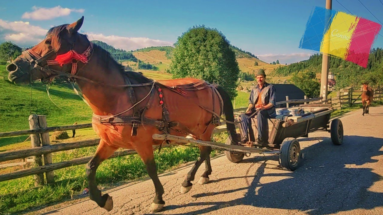 Romania, Village Life in Transylvania Ã°Å¸â€¡Â·Ã°Å¸â€¡Â´ - YouTube