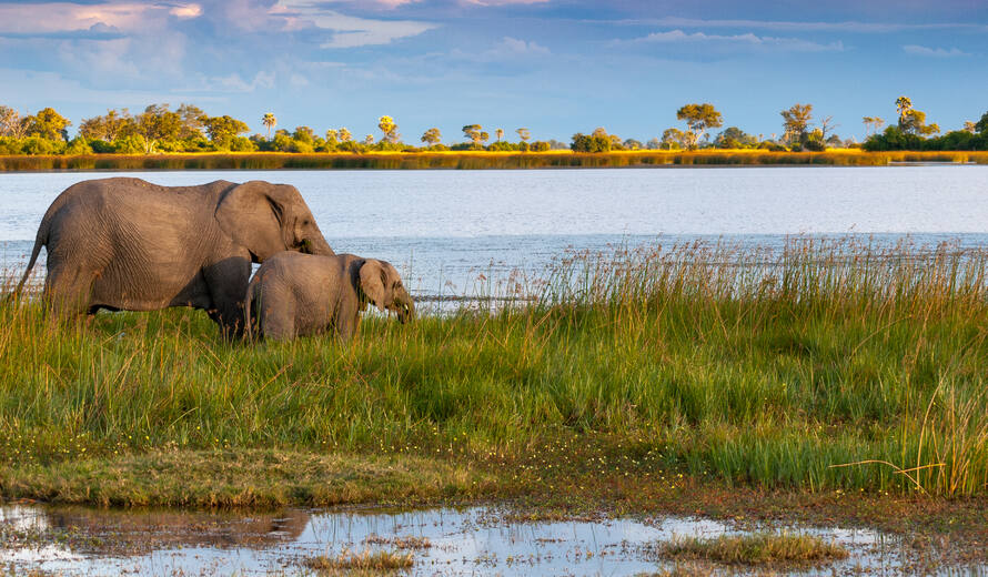 Okavango Delta boosts work to involve communities in conservation ...