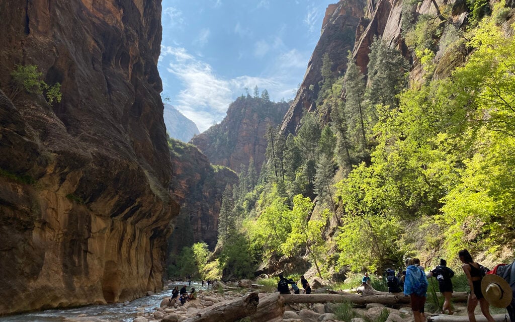 Riverside Walk & The Narrows in Zion National Park - We're in the ...
