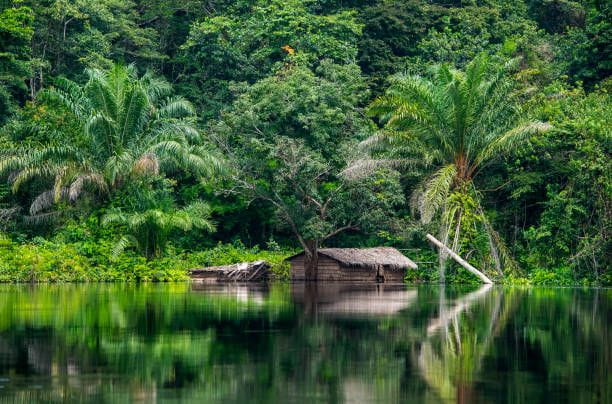 Hut at the shoreline of Congo River Congolese house at the shoreline of Congo river. Equateur province, Democratic Republic of Congo, Africa Congo stock pictures, royalty-free photos & images