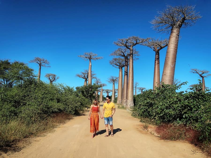 Is Madagascar Worth Visiting In 2024? Complete Guide & Best Things To Do • Life of Y