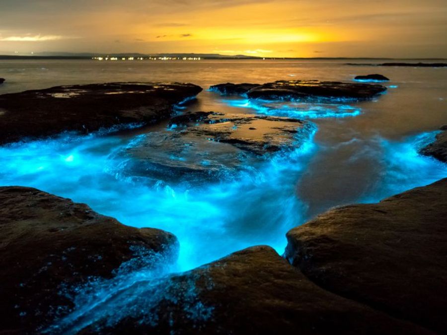 Have You Heard About the Magical Bioluminescent Beaches in India?