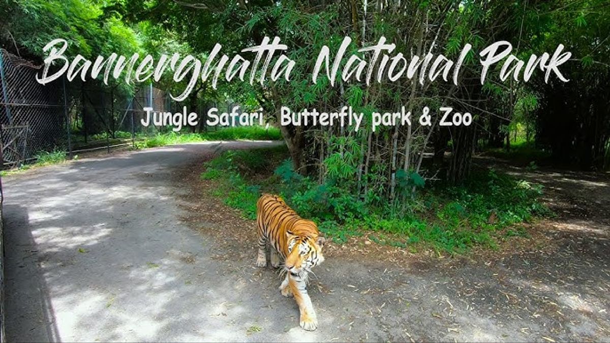 what is the ticket price of bannerghatta zoo