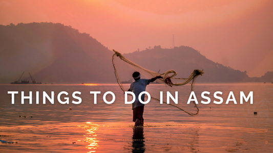 Top 6 things to do in Assam