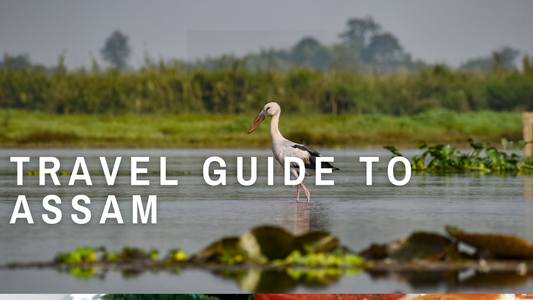 A Travel guide to Assam