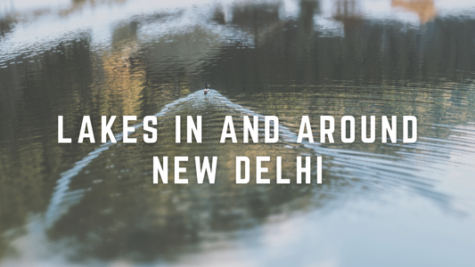 7 best lake to visit in and around New Delhi
