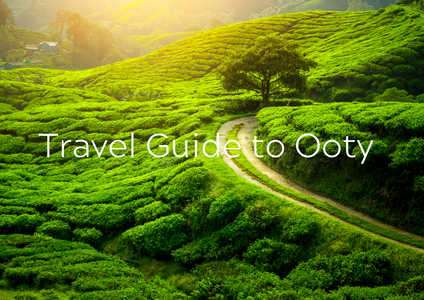 Travel Guide to Ooty