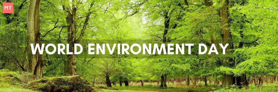 Celebrating World Environment Day at Home: A Guide for Responsible Citizens