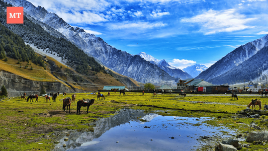 Unveiling Chura Valley: Himachal's Hidden Gem