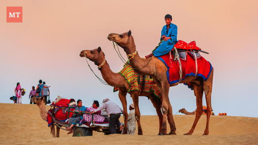 Heading into the Unknown: Embarking on a Camel Safari Adventure