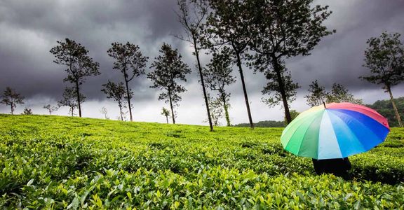 Best Places to Visit in India This Monsoon 2024