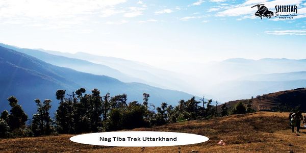 How to Plan Nag Tibba Trek - A Comprehensive Guide