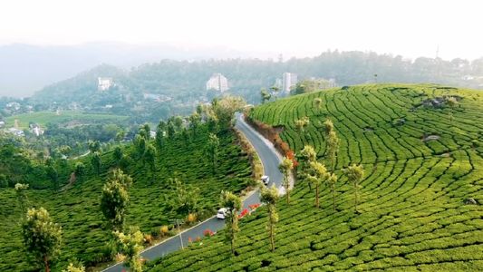 Best Snow Places to Visit in December in India: Why Ooty Should Be Your Top Choice