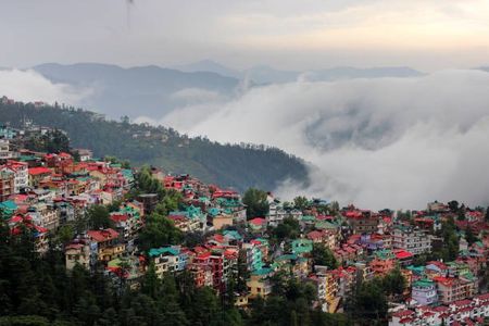 Palampur: The Tea Capital of North India