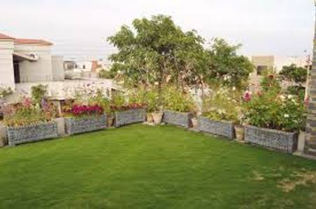 "Rooftop Gardens in Pakistan: A Green Solution for Urban Living"