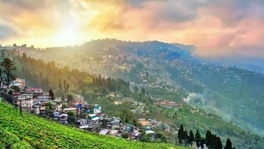 Tinchuley: A Hidden Gem in the Darjeeling Hills