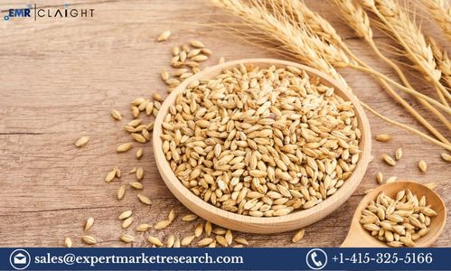 Barley Market Size, Share, Growth and Outlook | 2034