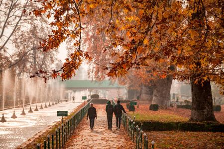 Kashmir Honeymoon: Why Gulmarg is a Must-Include Destination?