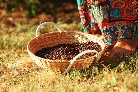 Coffee Journeys to Ethiopia: The Homeland of Coffee