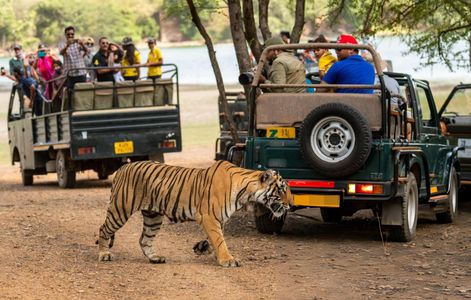 Rajasthan’s Hidden Gems: The Best Activities for Tourists