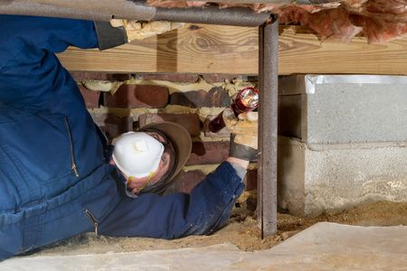 End of Lease Pest Control Canberra: Ensure Your Bond Return