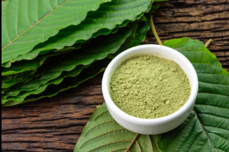 The Kratom Temple: A Sanctuary for Kratom Enthusiasts