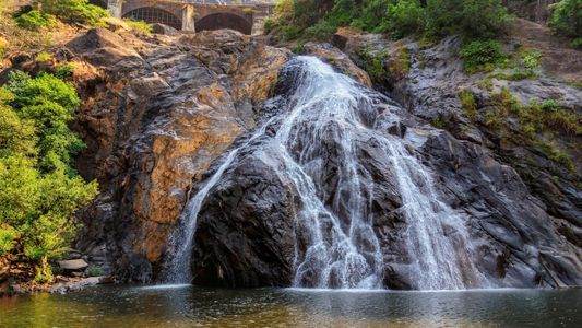 Dudhsagar Trek: An Exciting Adventure to the Majestic Waterfall