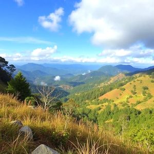 Discovering God's Own Country: How Kerala's Moniker Mirrors Its Unique Cultural & Natural Attraction
