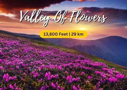 Valley of Flowers Trek: A Journey to Paradise