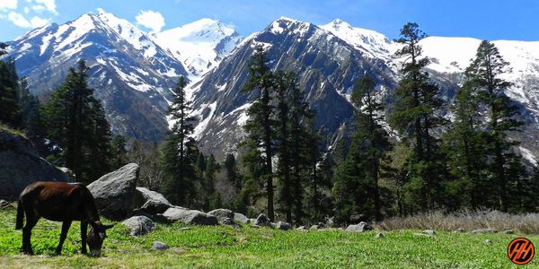Har ki Dun Trek in Uttarakhand