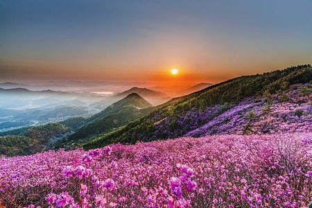 Valley of Flowers : The Mountain Trekker