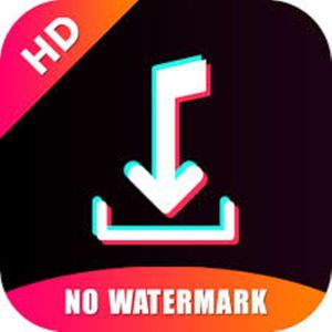 Snaptik TikTok – The Best TikTok Video Downloader