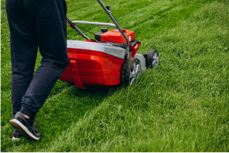What Is the Ideal Schedule for Lawn Care in Georgia?