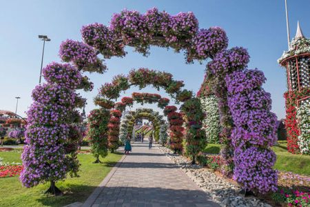 Top 10 Instagram-Worthy Spots in Dubai Miracle Garden
