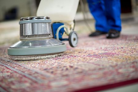The Cost of Ignoring Pet Stains: How It Affects Your Rug’s Lifespan