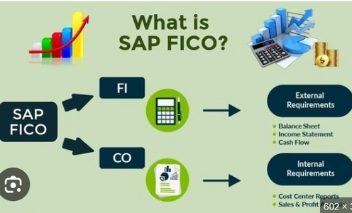 Why SAP FICO is Essential for Financial Management?