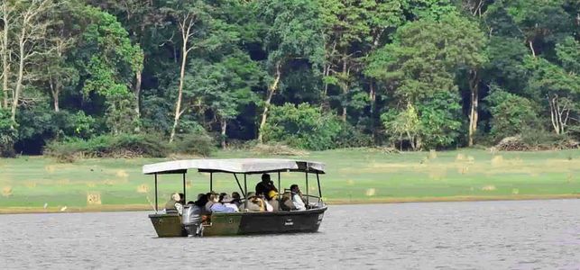 Kabini Safari: A Journey Into the Heart of Nature