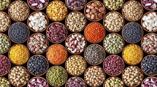 Gulfood 2025: Global Hub for Pulses, Grains & Cereals