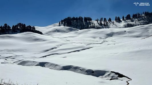 How to Prepare for the Dayara Bugyal Trek: A Trekker’s Handbook