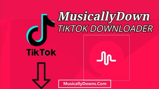 MusicallyDown - Download Video Tiktok Without Watermark