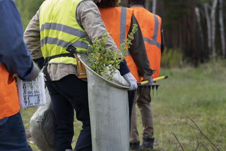 Affordable Tree Service Houston: Fast, Friendly, and Budget-Friendly