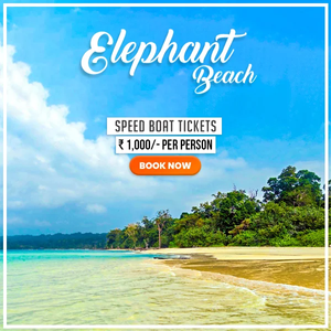 Discover Jolly Buoy Island: Your Ultimate Andaman Adventure Awaits!!