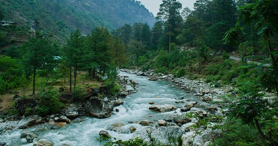 Jibhi Tirthan Valley Tour: A Perfect Blend of Adventure and Relaxation