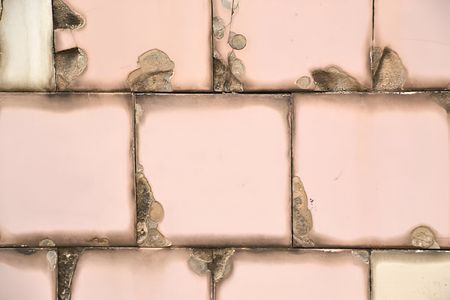 How Americo Migliore Prevents Mold Growth on Tiles