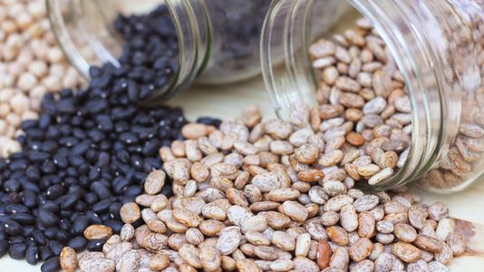 Can Pinto beans or pinto beans be healthier?